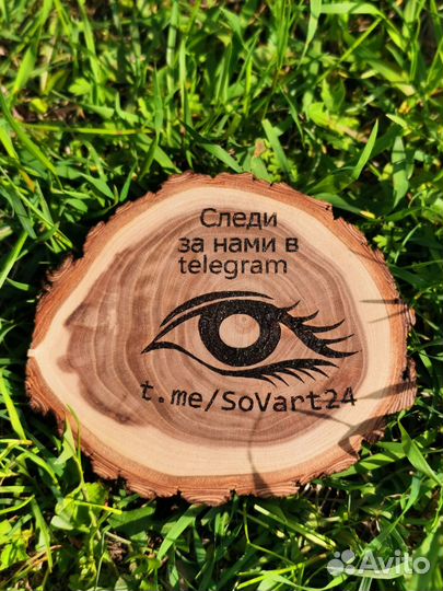 Гнездо для куриц с яйцесборником