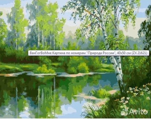 Картины по номерам 40х50 см 