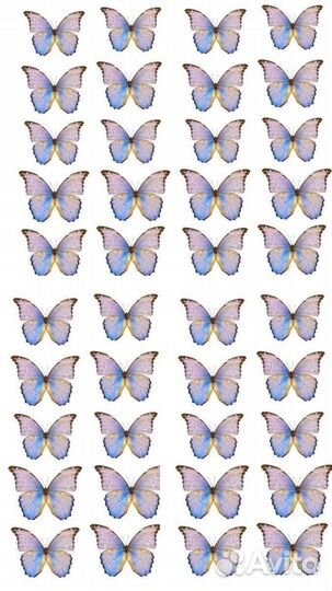 Букет из бабочек