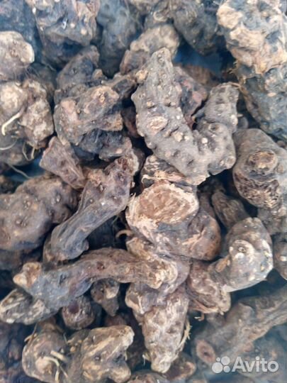 Корень калгана