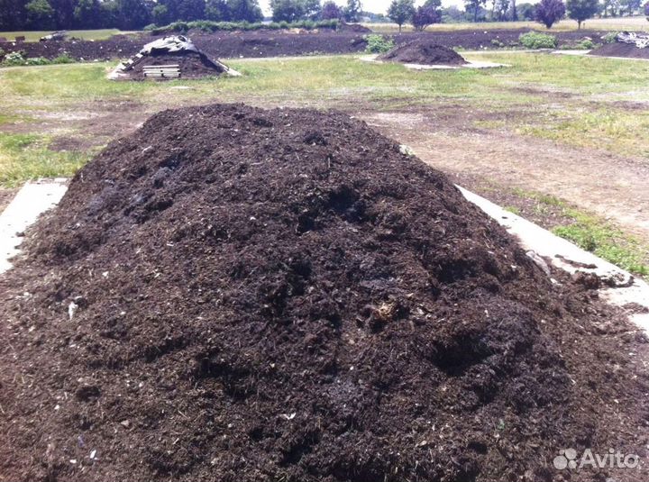 Торф в наличии