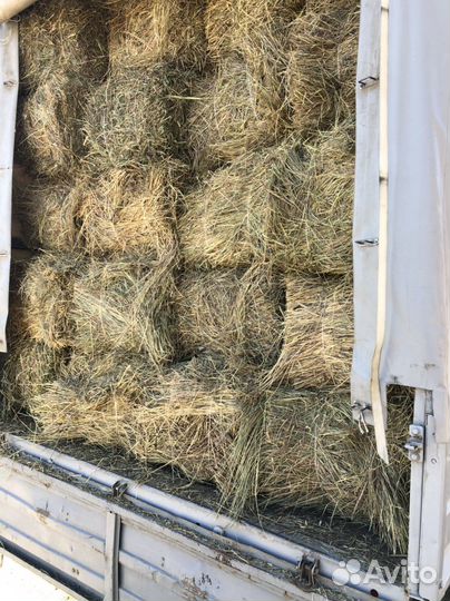 Сено в тюках с доставкой
