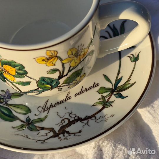 Кофейная пара Villeroy&Boch Botanica Сhelidonium Majus