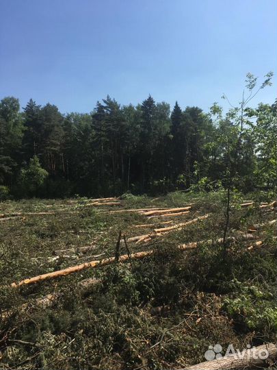 Лесозаготовительный комплекс