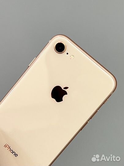 iPhone 8, 256 ГБ