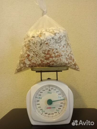 Яичная скорлупа