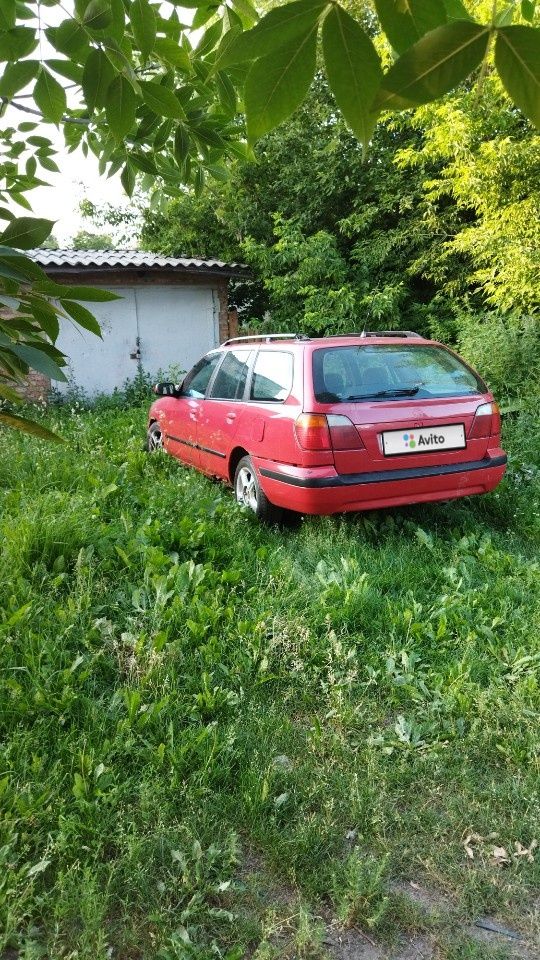 Nissan Primera: фото владельца
