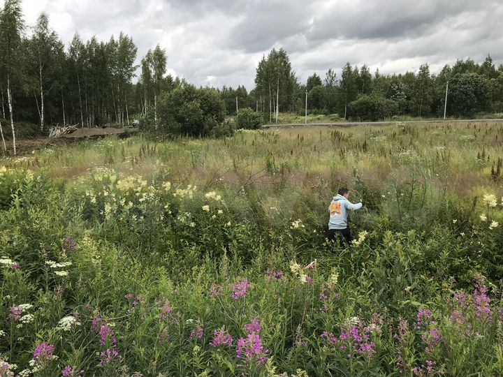 Участок 12,6 сот. (ИЖС)