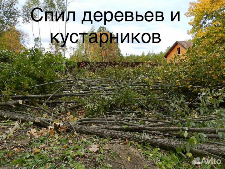 Расчистка участков.спил деревьев,кустарников