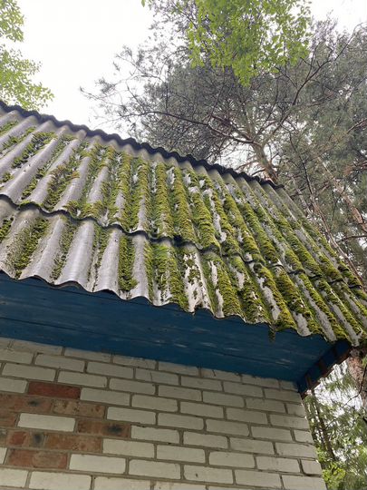 Участок 6 сот. (ИЖС)