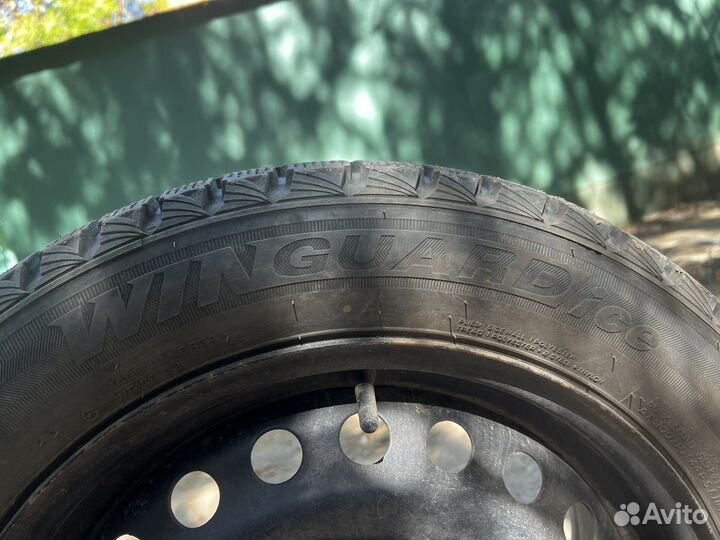 Nexen Winguard Ice 205/55 R16