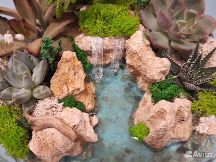 Флорариум подарок девушке