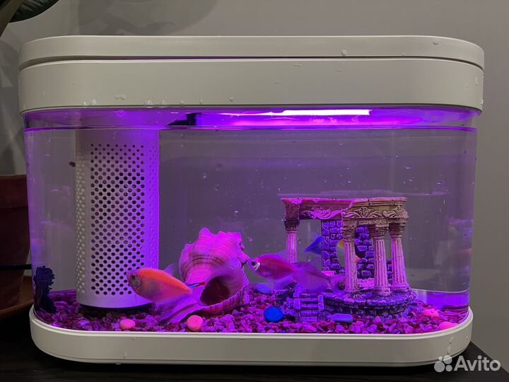 Аквариум Xiaomi 10 л Бронь