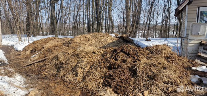 Конский навоз