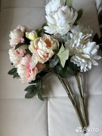 Пионы италия