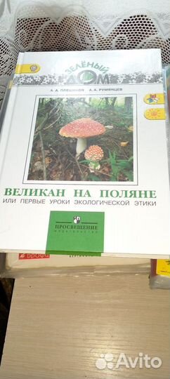 Великан на поляне