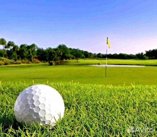 Семена травы оптом. Газон