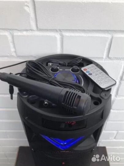 Беспроводная колонка с караоке 60 см