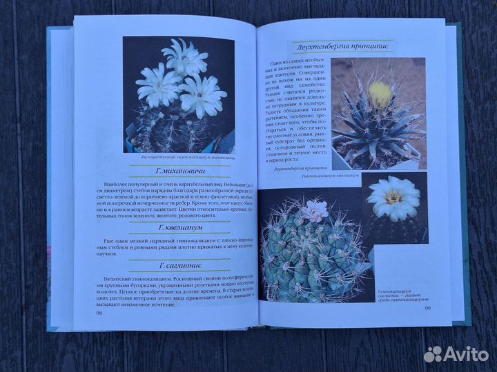 Книги о цветах, саде, огороде ландшафтном дизайне