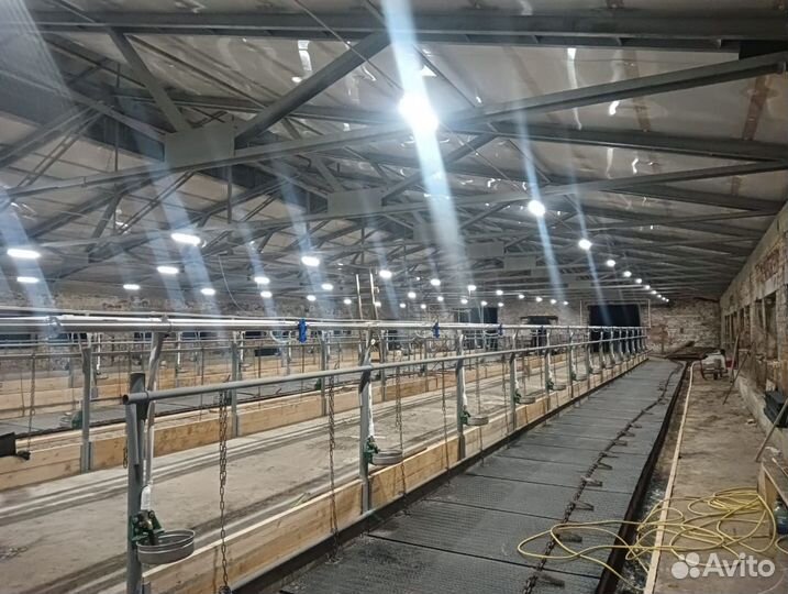 Автоматическое светодиодное освещение коровников