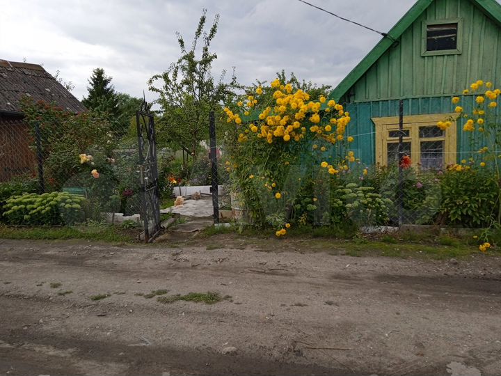 Участок 5 сот. (СНТ, ДНП)