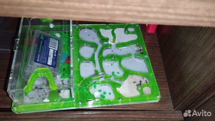 Муравьеная ферма с муравьями и всем оборудованием