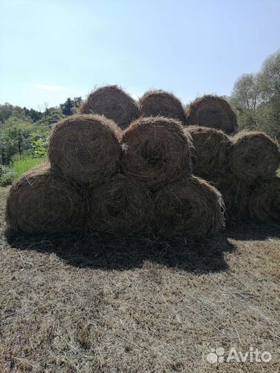 Сено в рулонах