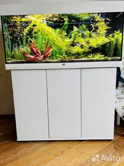 Аквариум с тумбой juwel 180 литров