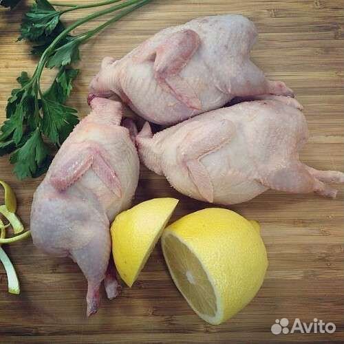 Тушки перепелов