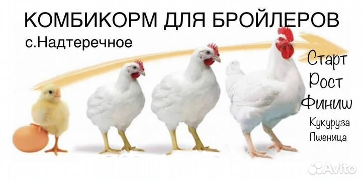 Комбикорм для скота