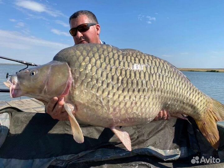 Трофейная рыбалка и комфортный отдых