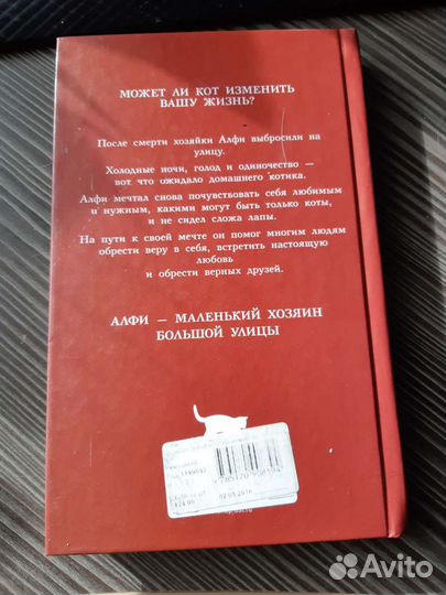 Рейчел Уэллс 