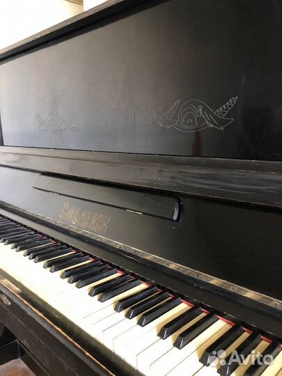 Фортепиано (пианино) 