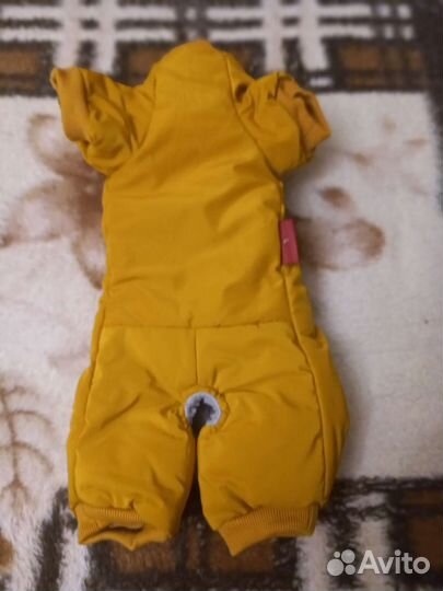 Одежда для собак мелких пород