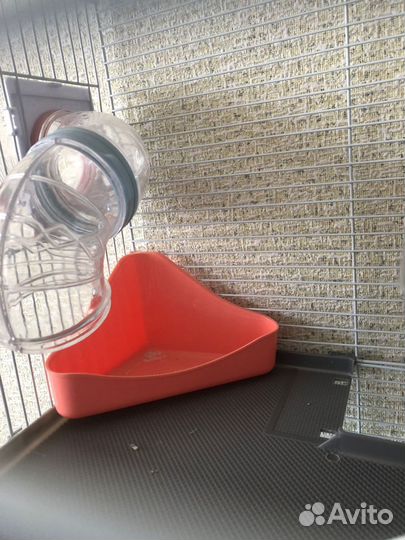 Клетка для грызунов бу