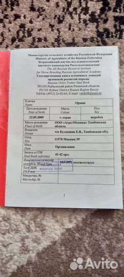 Жеребец орловский рысак