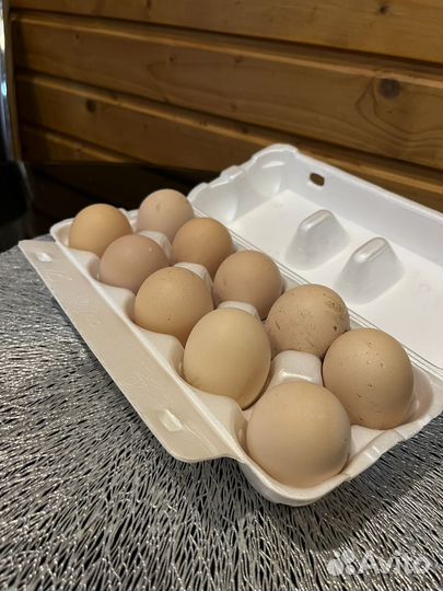 Домашние куриные яйца