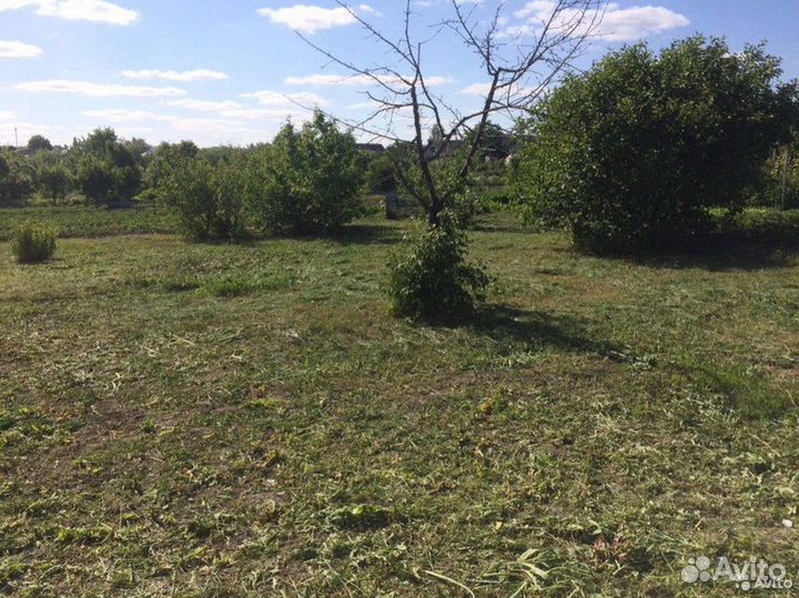 Покос травы