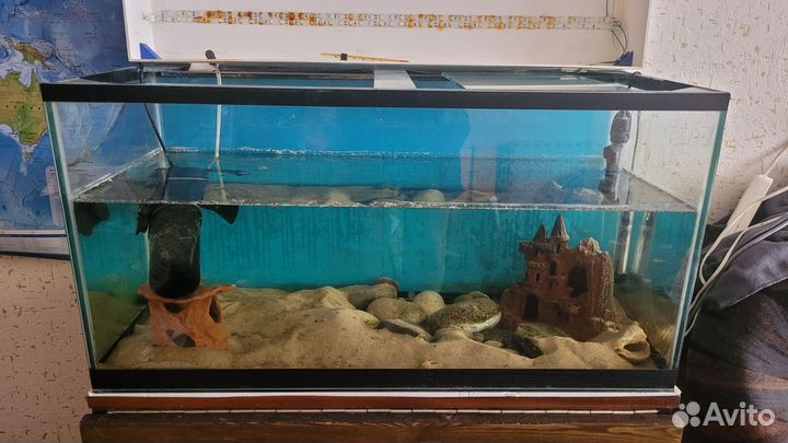 Аквариум 100л