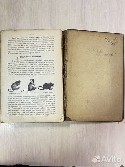 Книга антикварная Естествоведение 1912 год