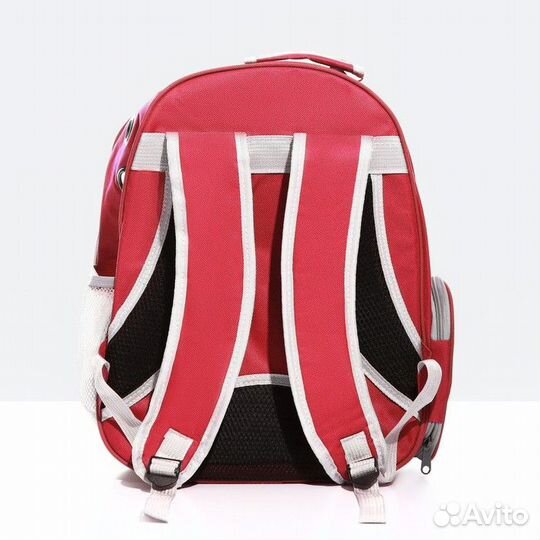 Рюкзак для переноски животных прозрачный, 31 х 28