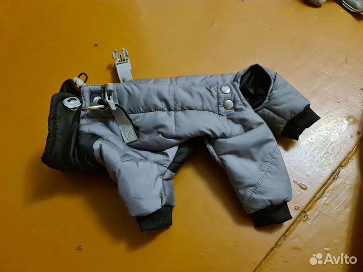 Одежда для собак мелких пород