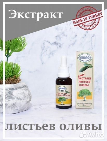 Олива стевия