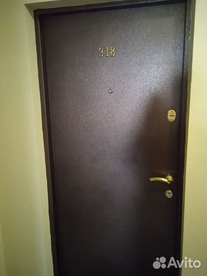 Дверь входная металлическая