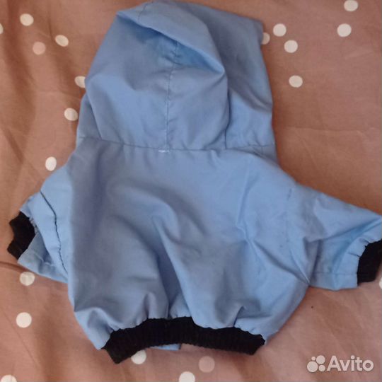 Одежда для маленьких собак