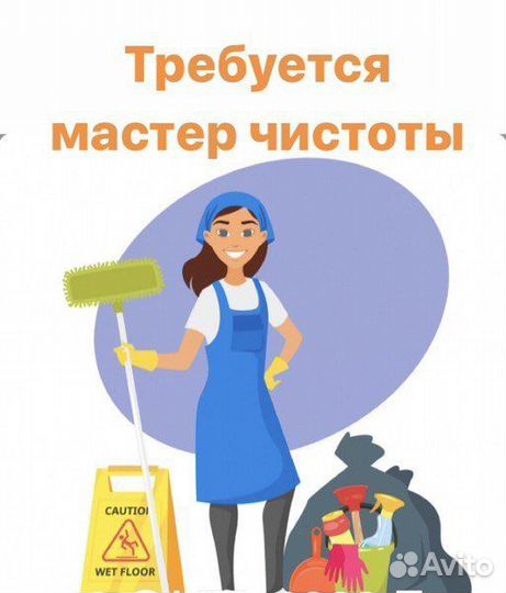 Мастер Чистоты