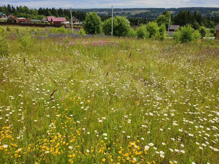 Участок 20 сот. (ИЖС)