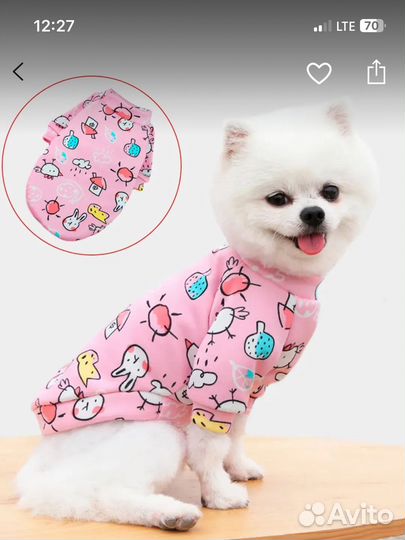 Одежда для маленьких пород собак