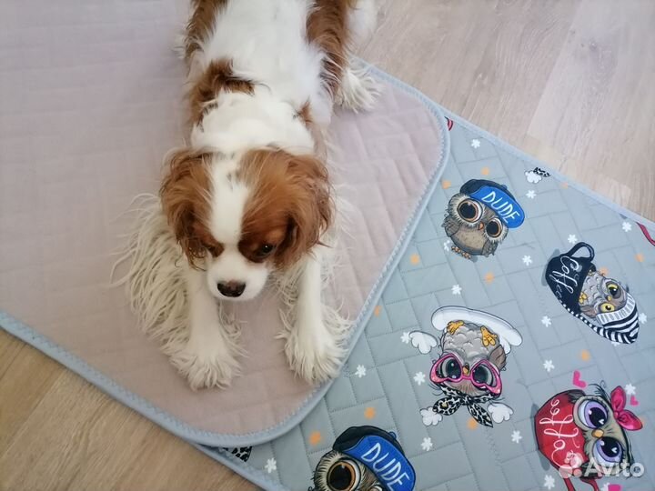 Многоразовые 5слойные пеленки