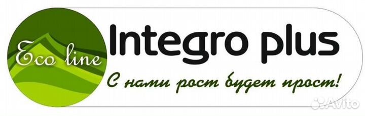 Павловния Шан Тонг